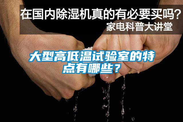 大型高低溫試驗室的特點有哪些？
