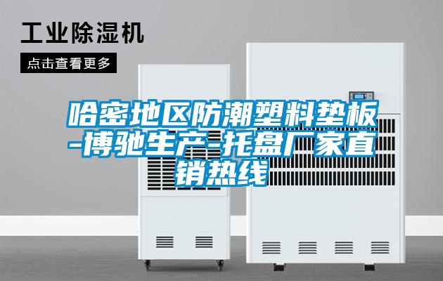 哈密地區(qū)防潮塑料墊板-博馳生產(chǎn)-托盤(pán)廠家直銷(xiāo)熱線(xiàn)