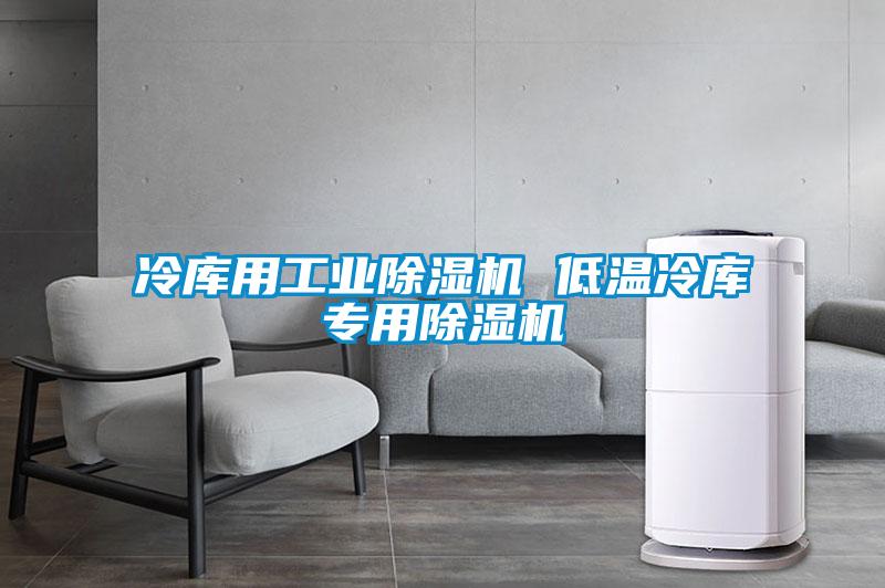 冷庫(kù)用工業(yè)除濕機(jī) 低溫冷庫(kù)專(zhuān)用除濕機(jī)