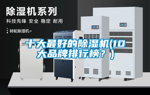 十大最好的除濕機(10大品牌排行榜？)