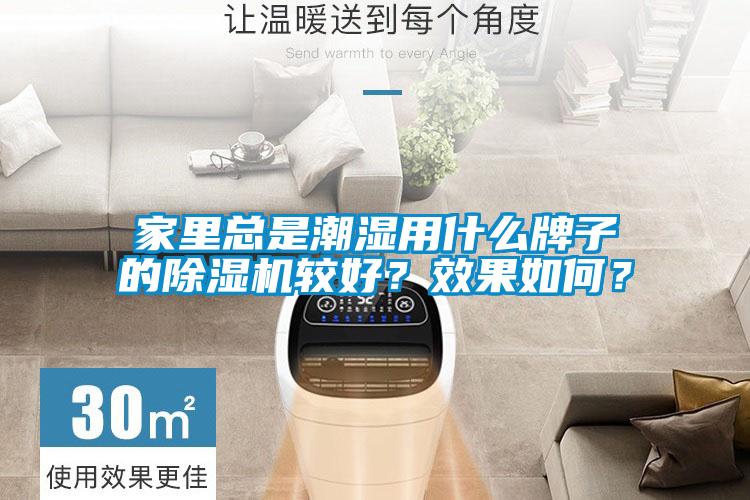 家里總是潮濕用什么牌子的除濕機較好？效果如何？