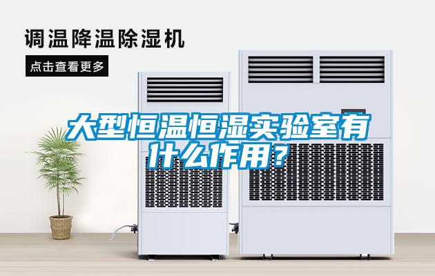 大型恒溫恒濕實驗室有什么作用？