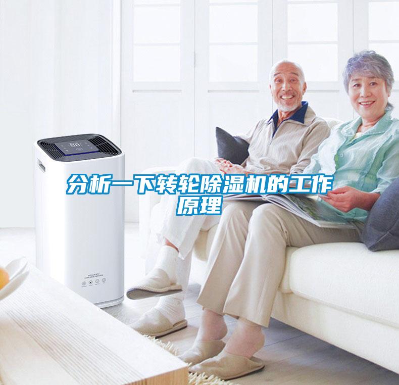 分析一下轉(zhuǎn)輪除濕機的工作原理