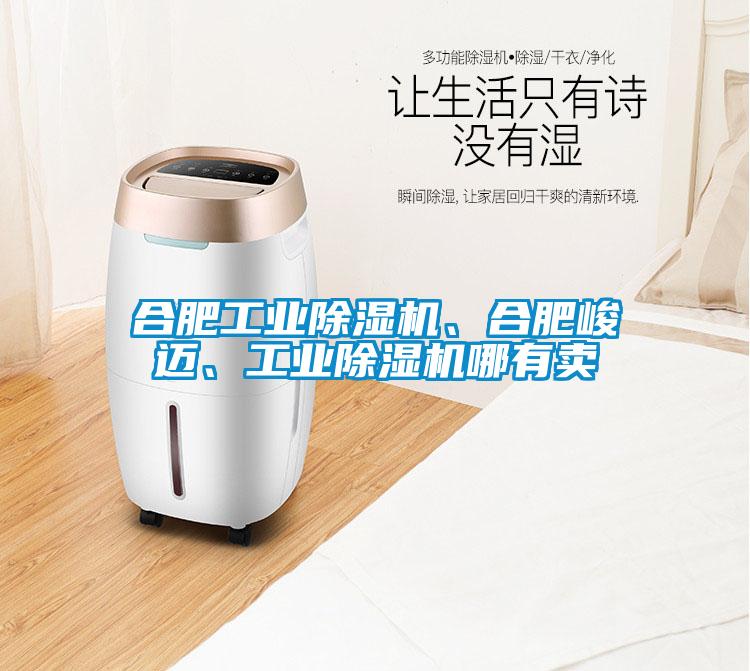 合肥工業(yè)除濕機(jī)、合肥峻邁、工業(yè)除濕機(jī)哪有賣