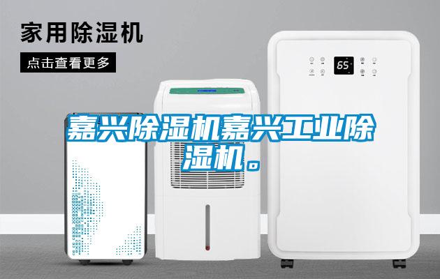 嘉興除濕機(jī)嘉興工業(yè)除濕機(jī)。