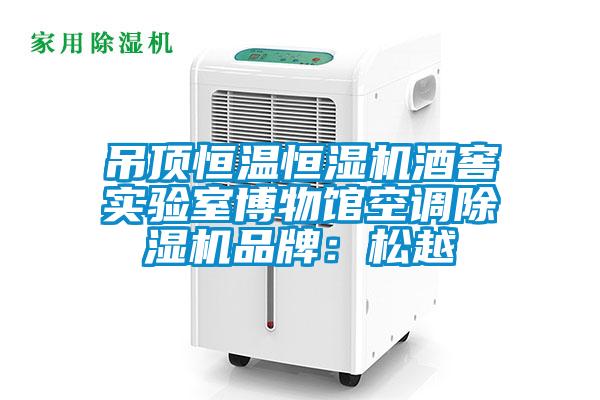 吊頂恒溫恒濕機酒窖實驗室博物館空調(diào)除濕機品牌：松越