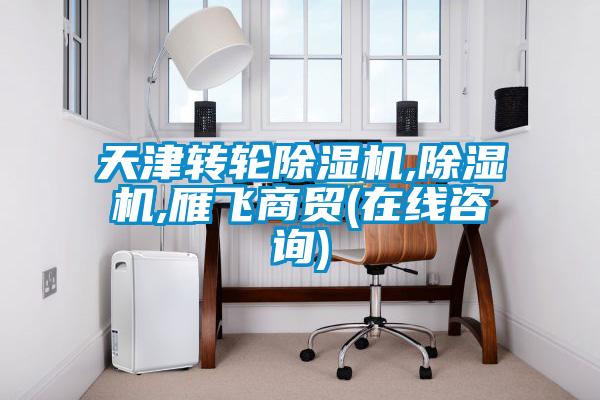 天津轉(zhuǎn)輪除濕機(jī),除濕機(jī),雁飛商貿(mào)(在線咨詢)