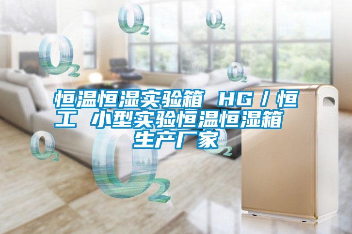 恒溫恒濕實驗箱 HG／恒工 小型實驗恒溫恒濕箱 生產(chǎn)廠家