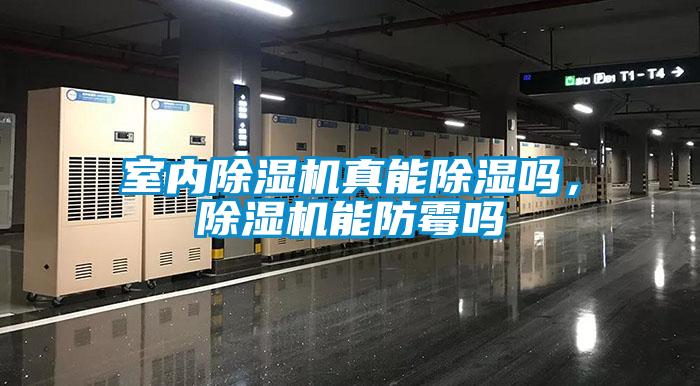 室內(nèi)除濕機(jī)真能除濕嗎，除濕機(jī)能防霉嗎