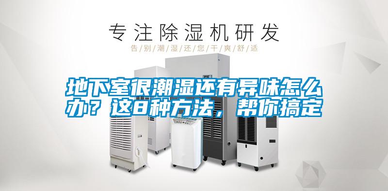 地下室很潮濕還有異味怎么辦？這8種方法，幫你搞定