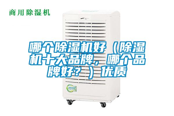 哪個除濕機好（除濕機十大品牌，哪個品牌好？）優(yōu)質(zhì)