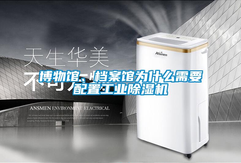 博物館、檔案館為什么需要配置工業(yè)除濕機