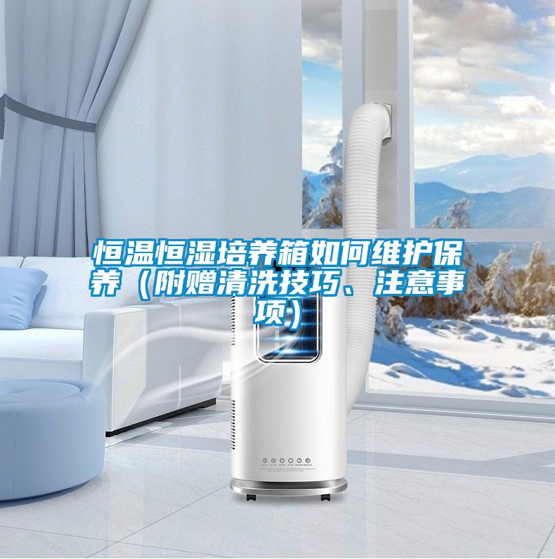 恒溫恒濕培養(yǎng)箱如何維護保養(yǎng)（附贈清洗技巧、注意事項）