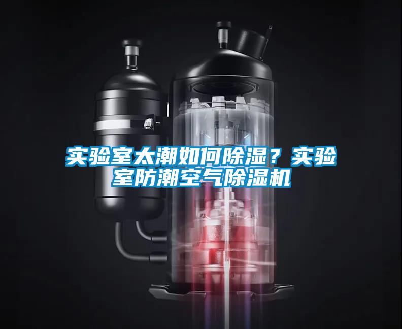 實驗室太潮如何除濕？實驗室防潮空氣除濕機