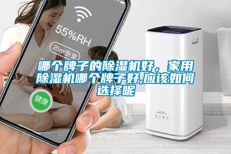 哪個牌子的除濕機好，家用除濕機哪個牌子好,應該如何選擇呢
