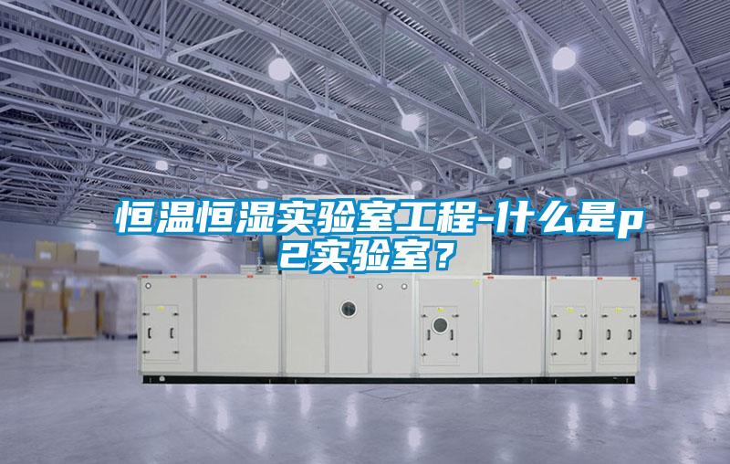 恒溫恒濕實驗室工程-什么是p2實驗室？