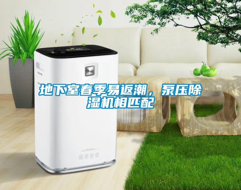 地下室春季易返潮，泵壓除濕機相匹配