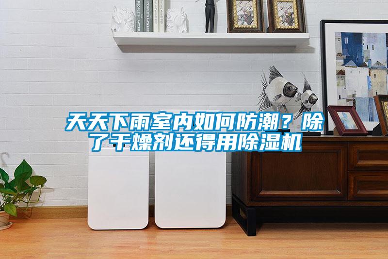 天天下雨室內(nèi)如何防潮？除了干燥劑還得用除濕機(jī)