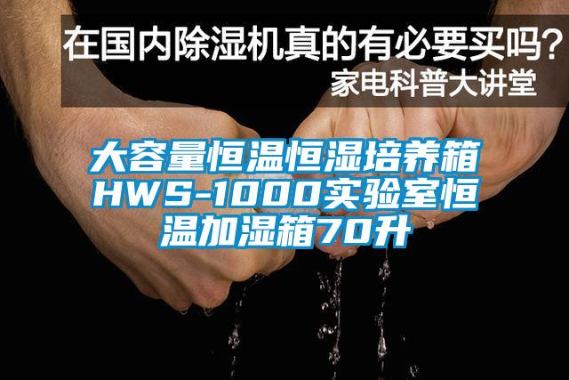 大容量恒溫恒濕培養(yǎng)箱HWS-1000實驗室恒溫加濕箱70升