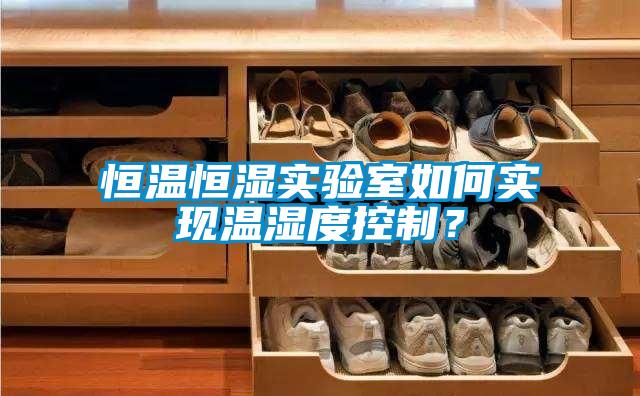 恒溫恒濕實驗室如何實現(xiàn)溫濕度控制？
