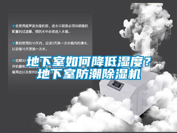 地下室如何降低濕度？地下室防潮除濕機