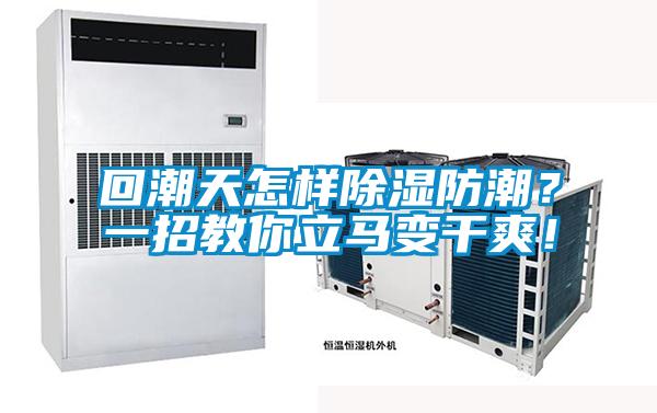 回潮天怎樣除濕防潮？一招教你立馬變干爽！