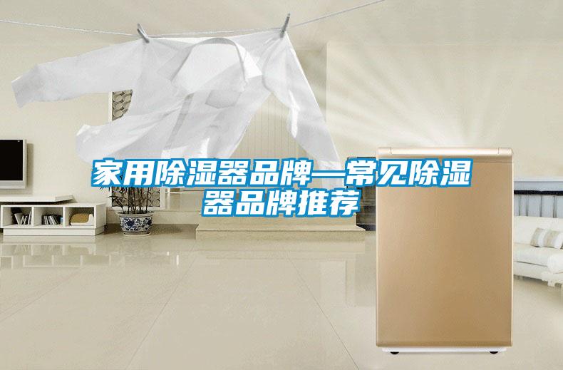 家用除濕器品牌—常見(jiàn)除濕器品牌推薦