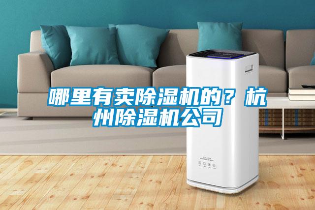 哪里有賣除濕機的？杭州除濕機公司