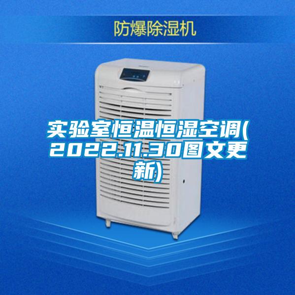實(shí)驗(yàn)室恒溫恒濕空調(diào)(2022.11.30圖文更新)
