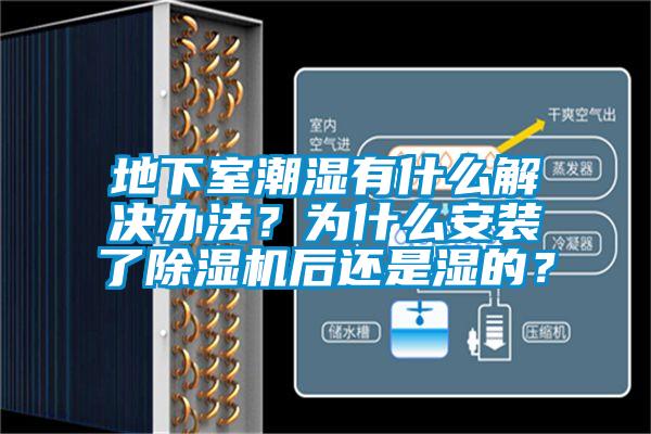 地下室潮濕有什么解決辦法？為什么安裝了除濕機后還是濕的？