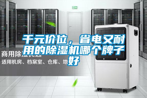 千元價(jià)位，省電又耐用的除濕機(jī)哪個(gè)牌子好