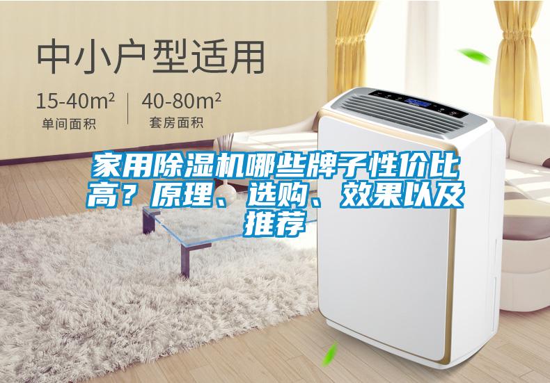 家用除濕機哪些牌子性價比高？原理、選購、效果以及推薦