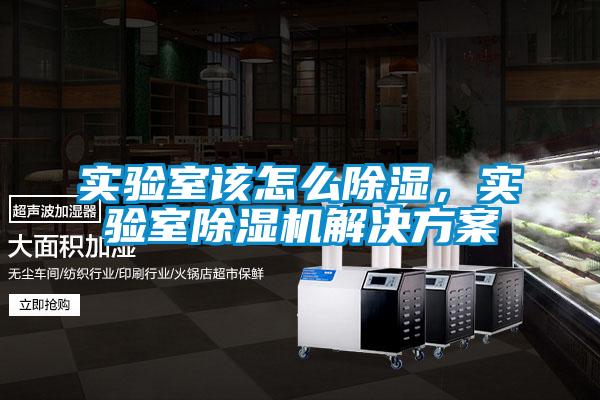 實(shí)驗(yàn)室該怎么除濕，實(shí)驗(yàn)室除濕機(jī)解決方案