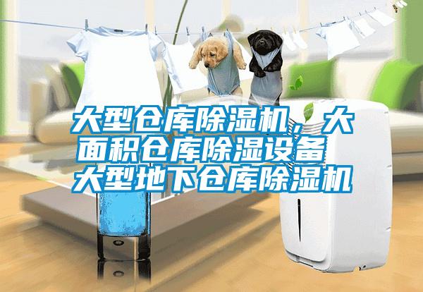 大型倉(cāng)庫(kù)除濕機(jī)，大面積倉(cāng)庫(kù)除濕設(shè)備 大型地下倉(cāng)庫(kù)除濕機(jī)