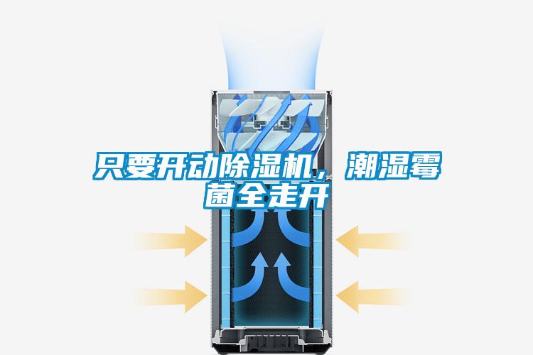只要開動除濕機，潮濕霉菌全走開