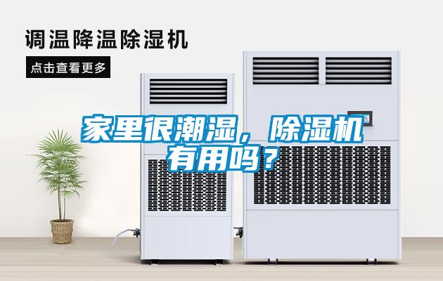 家里很潮濕，除濕機有用嗎？