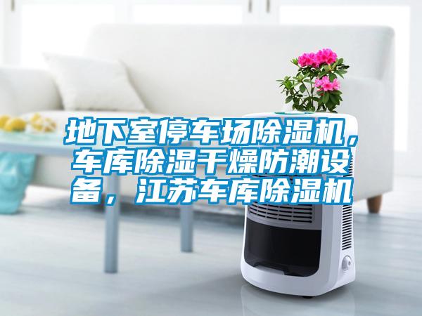 地下室停車場除濕機，車庫除濕干燥防潮設(shè)備，江蘇車庫除濕機