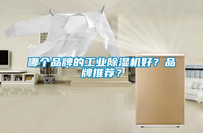 哪個品牌的工業(yè)除濕機好？品牌推薦？