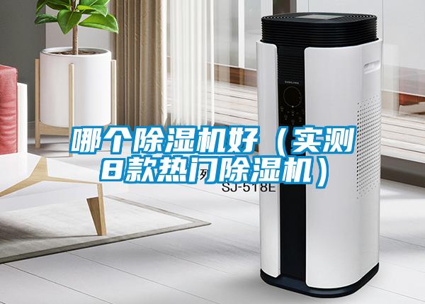 哪個(gè)除濕機(jī)好（實(shí)測(cè)8款熱門(mén)除濕機(jī)）