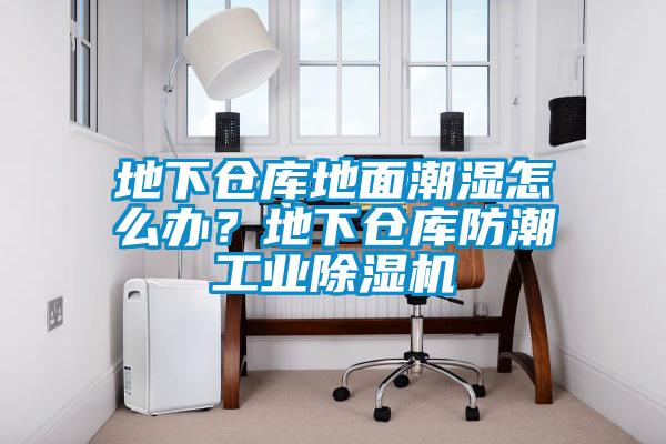 地下倉庫地面潮濕怎么辦？地下倉庫防潮工業(yè)除濕機(jī)