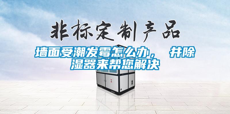 墻面受潮發(fā)霉怎么辦，東井除濕器來(lái)幫您解決
