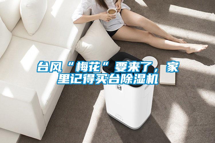 臺風(fēng)“梅花”要來了，家里記得買臺除濕機(jī)