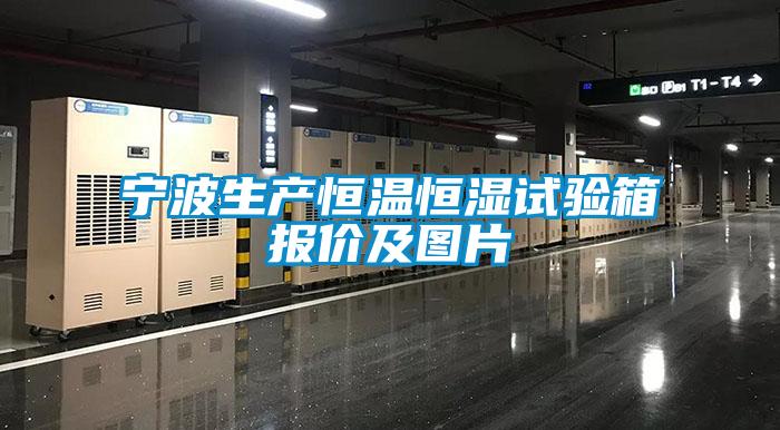 寧波生產(chǎn)恒溫恒濕試驗箱報價及圖片