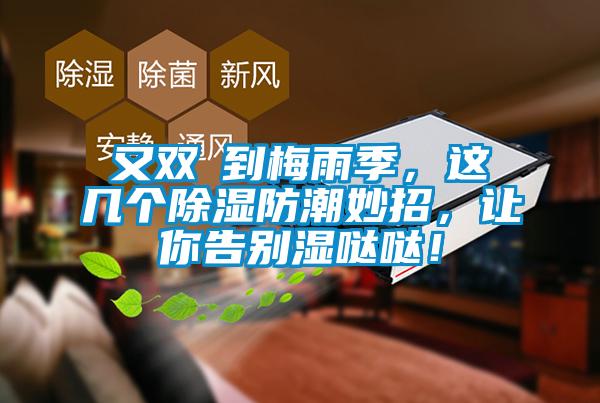 又雙叒到梅雨季，這幾個除濕防潮妙招，讓你告別濕噠噠！