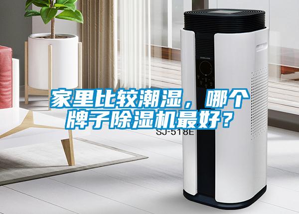 家里比較潮濕，哪個(gè)牌子除濕機(jī)最好？