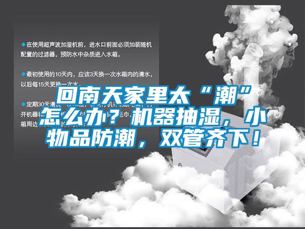 回南天家里太“潮”怎么辦？機器抽濕，小物品防潮，雙管齊下！