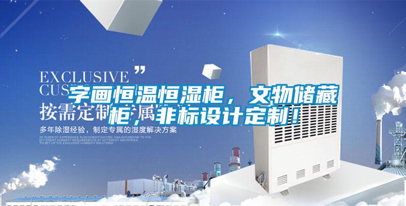 字畫恒溫恒濕柜，文物儲藏柜，非標(biāo)設(shè)計定制！