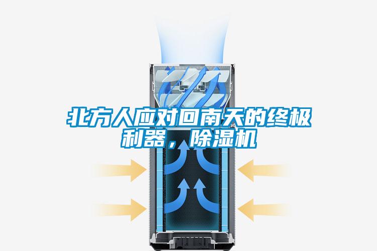 北方人應對回南天的終極利器，除濕機