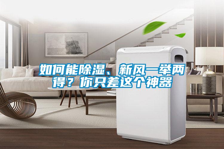 如何能除濕、新風一舉兩得？你只差這個神器