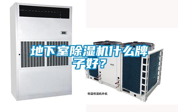 地下室除濕機(jī)什么牌子好？